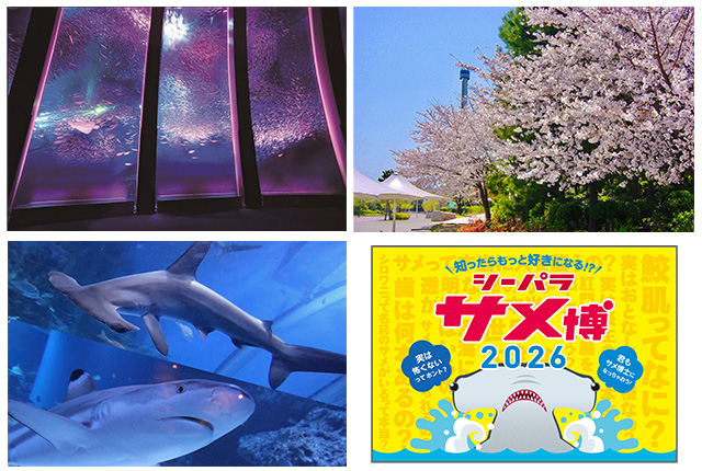 横浜・八景島シーパラダイス「はなパラ」3/2~4/24